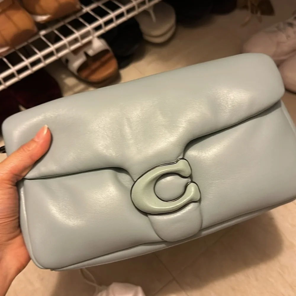 LIGHT BLUE LARGE SIZE COACH PILLOW TABBY - Picture 5 of 9